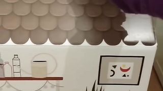 cute_funny_cats????_video