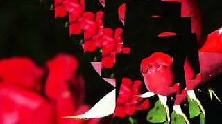 my beautiful video