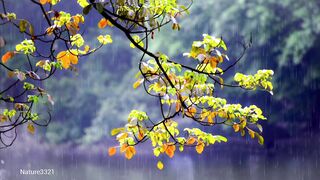 Relaxing with Nature