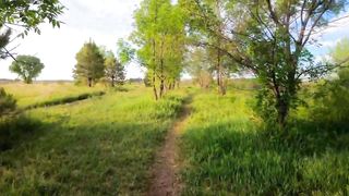 Beautiful Nature forest water fallScenery birds Relaxing Peaceful Soothing Music |  Sounds