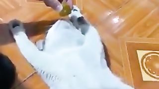 Awesome video ????