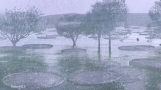 Relaxing with Nature Rain in Morning