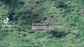 انسان کو سمجھنے کے لٸے