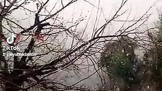 Snowfall best