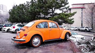 FOX CAR