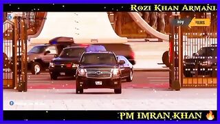 Pti tiger