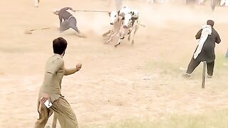 Video Latest
