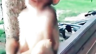 Sleeping Monkey funny video ever.