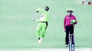 Cricket fans