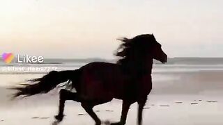 Status video