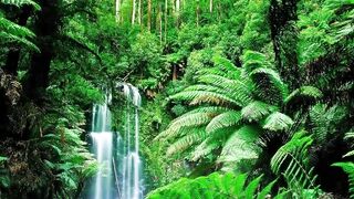10 minute meditation music - 10 minute relaxing meditation music