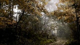NATURE BEAUTY OF THE WORLD
