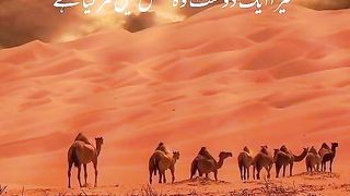 Must Watch till end