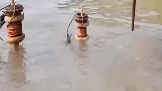 Hook Fishing Trap