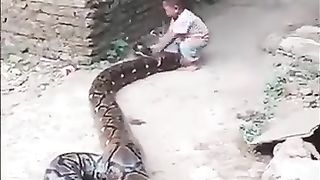 Funny video