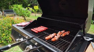 Relaxing with Nature Party in Garden