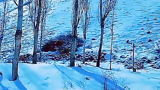 Snow moning 13 Feb 2023