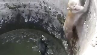 Awesome video ????????