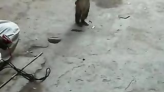 Bandar ka Dance | Heroin ki Acting