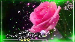 Islami status