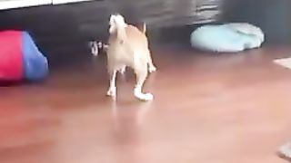 Дрифт на минималках