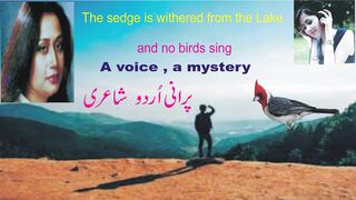 Urdu poetry