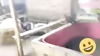Check  the thief