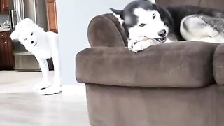 Awesome video ????