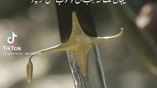 Allah is great