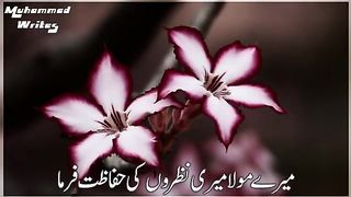 Islami. Status