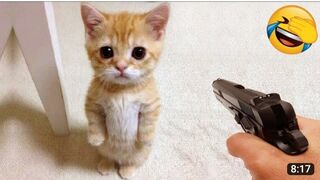 Very funny video ????