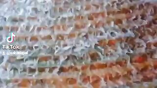 سیر کرنے کی وڈیو