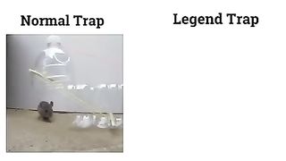 Funny trap #short. Compare
