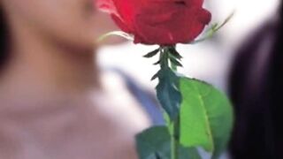 Happy Promise Day