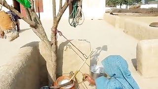 Desi Style Yoghurt Making