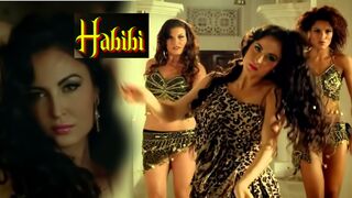 Habibi' By "Rahat Fateh Ali Khan