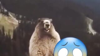Crazy funny video