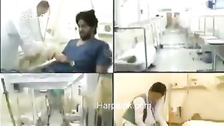 Dangi Macher ki pehchan || Dangi Maskito