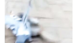 Cat vs dove