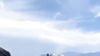 Sea animals video|funny fishes video|