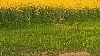 Amazing green mature video
