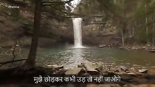 Ek chidiya ki dard bhari kahani ????????