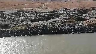 Nice video