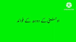 اونٹی ک دودھ کے فائدے