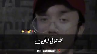 True lines and Quran Pak translation