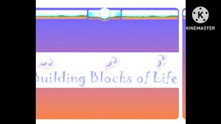 Level of Biological Organization, Biology tutorial