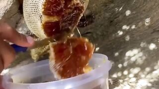 Honey