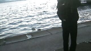 Zug Lake