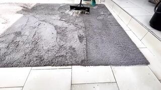 Clean the carpet