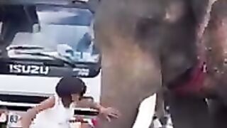 Grills ride on Elephant